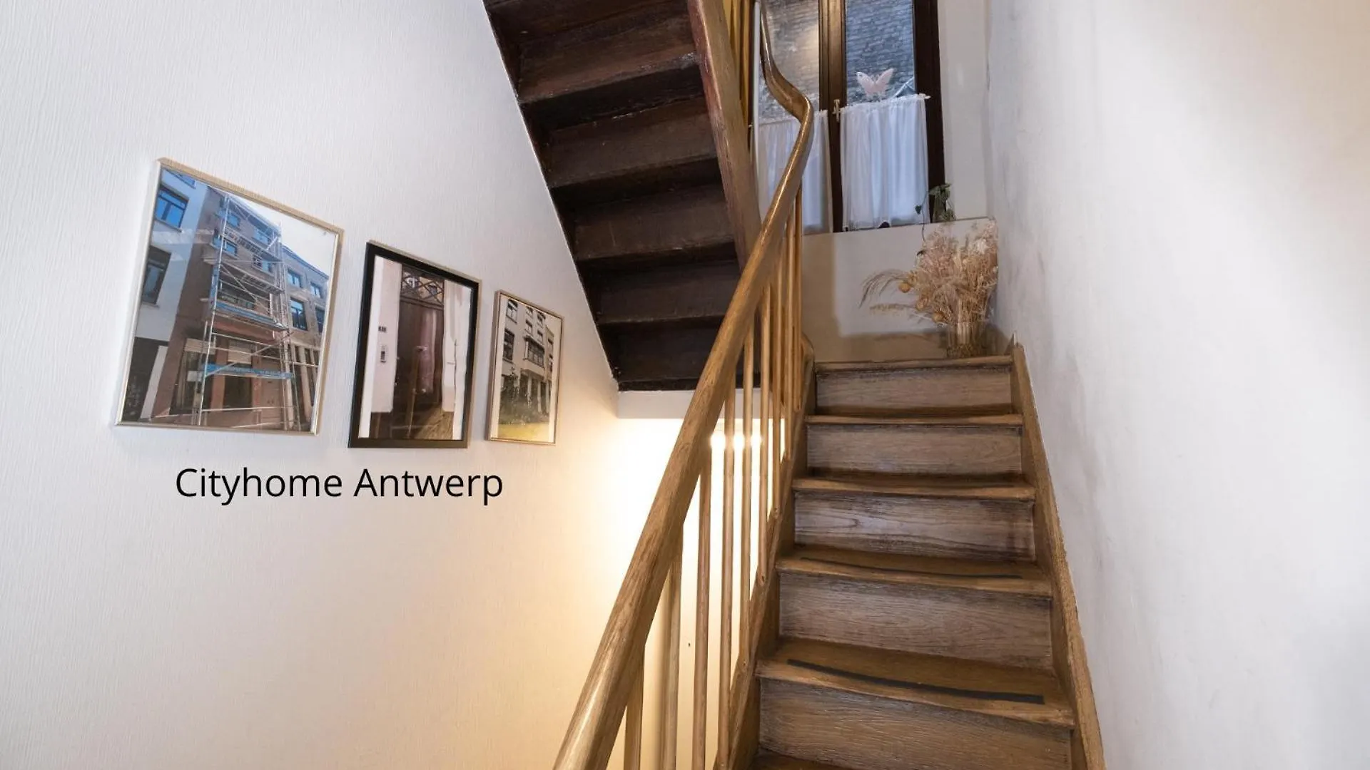 Cityhome Apartments In The Heart Of Antwerp